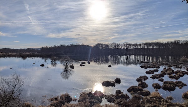 Etang des Landes